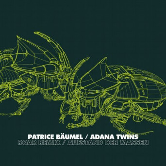 Patrice Baumel / Adana Twins – Roar Remix / Aufstand der Massen
