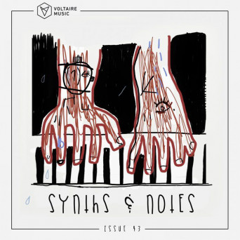 VA – Synths And Notes 43