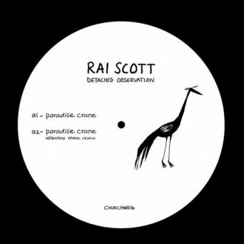 Rai Scott – Detached Observation