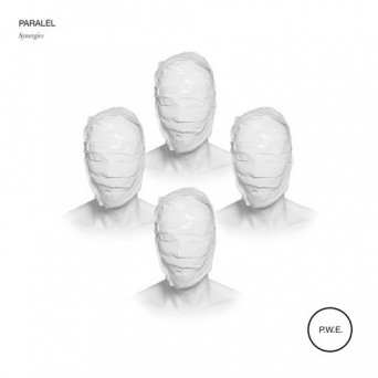 PARALEL – Synergies