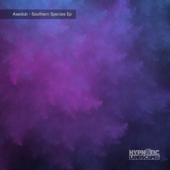 Asedub – Southern Species