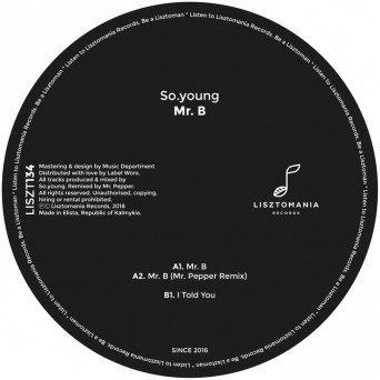 So.young – Mr. B