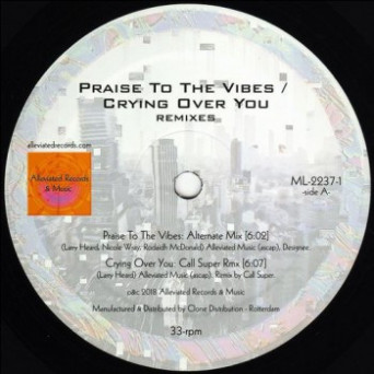 Mr. Fingers – Praise To The Vibes / Crying Over You (Remixes)