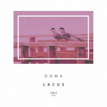 Doma – Lacus