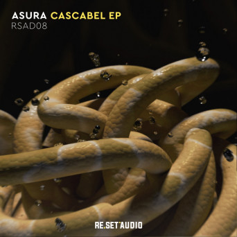 Asura/Brain – Cascabel