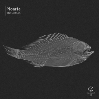 Noaria – Reflection