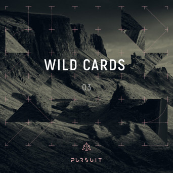 VA – Wild Cards 03