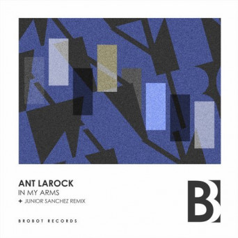 ANT LaROCK – In My Arms