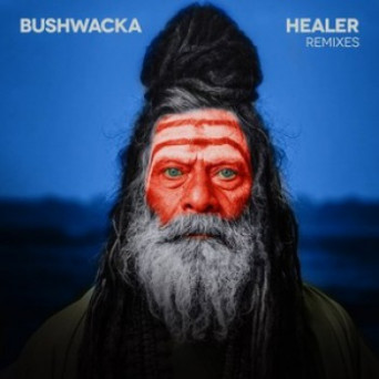 Bushwacka! – Healer (Remixes)