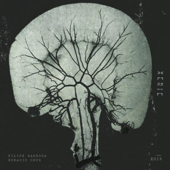 Horacio Cruz – X019