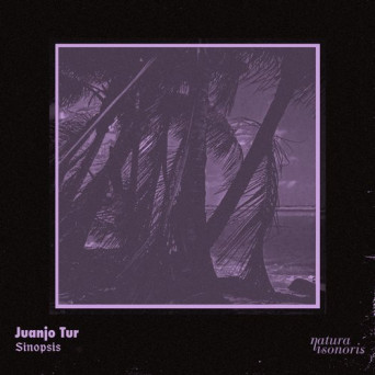 Juanjo Tur – Sinopsis