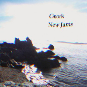 Gnork – New Jams