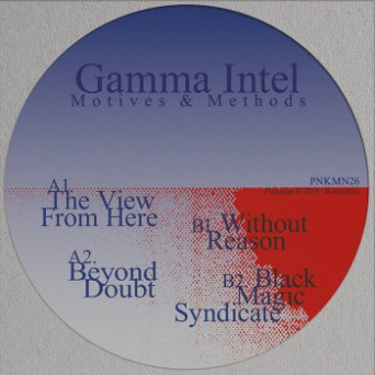 Gamma Intel – Motives & Methods