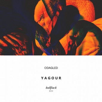 Odagled – Yagour