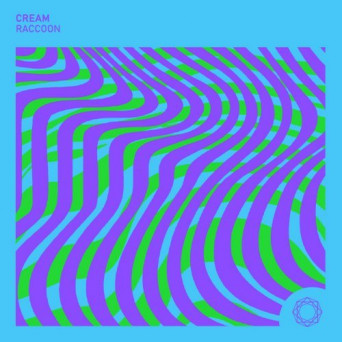 Cream – Raccoon
