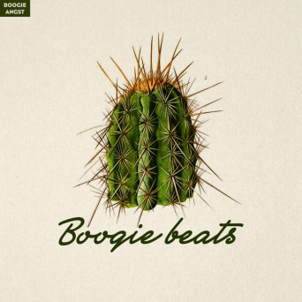 VA – Boogie Beats