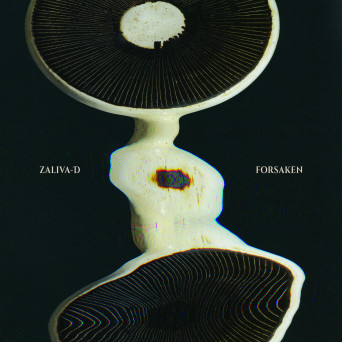 Zaliva-D – Forsaken
