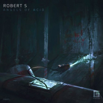 Robert S (PT) – Angels Of Acid
