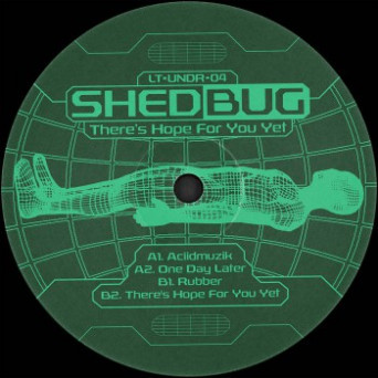 Shedbug – There’s Hope for You Yet