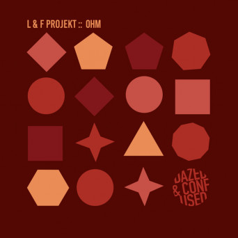 L&F Projekt – OHM
