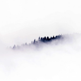 Inkfish – Clouds