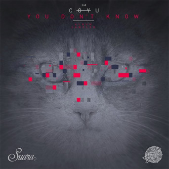 Coyu – You Don’t Know (Album Sampler)