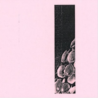 Ambre Antique ‎– An Intimate Communion