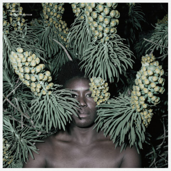 Cressida – Borneo Function