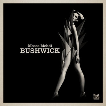 Moses Mehdi – Bushwick