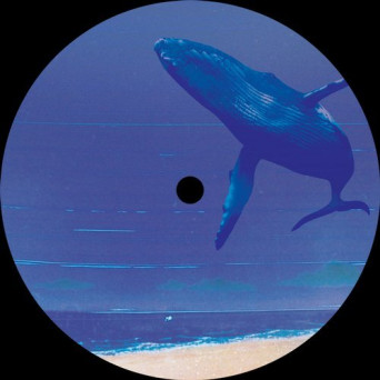 Almaty – Sonic Signature