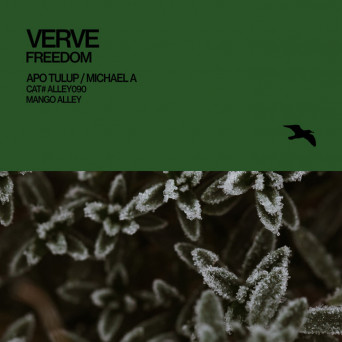 Verve – Freedom