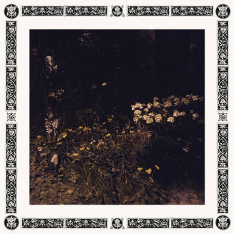 Sarah Davachi – Pale Bloom