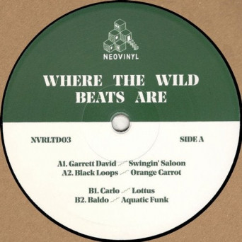 VA – Where the Wild Beats Are