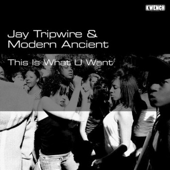 Jay Tripwire – This Is What U Want