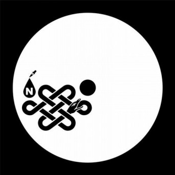 Nightwave – Rainbow Body