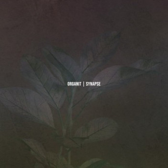 Organit – Synapse