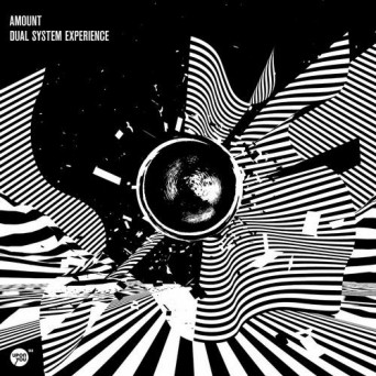 Amount – Dual System Experience