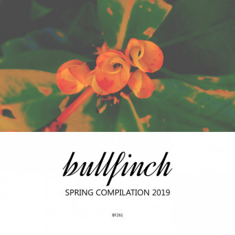 VA – Bullfinch Spring 2019 Compilation