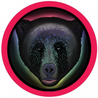 Raumakustik – Animal / Waves