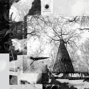 Rngd – Ignition