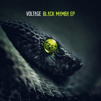 Voltage – Black Mamba