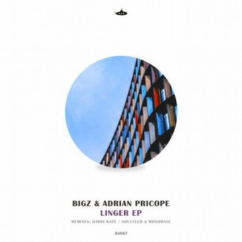 Big Al / Adrian Pricope – Linger