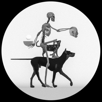 Mule Driver – Bright Skull from Borrowed Dreams
