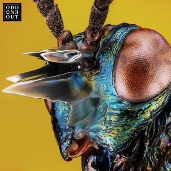 yotto – Nova