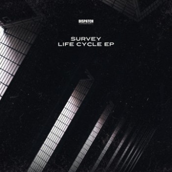 Survey – Life Cycle EP
