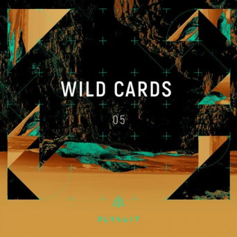 VA – Wild Cards 05