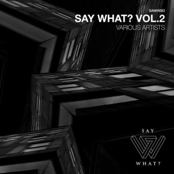 VA – Say What?, Vol. 2