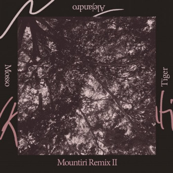 Rey&Kjavik – Mountiri Remix II