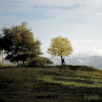Tone Depth – Era / Pelago