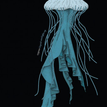 Cygnus – Liquid Sunlight